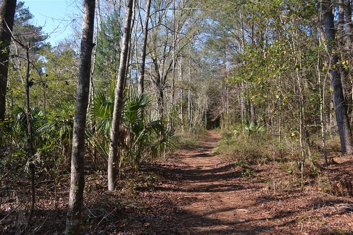 Clear Lake Nature Park to the City of Gainesville