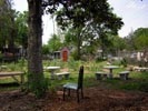 Dreamers Garden chair