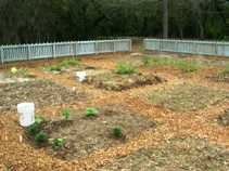 Green Acres Park Community Garden