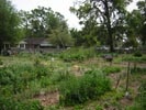 McRorie Community Garden