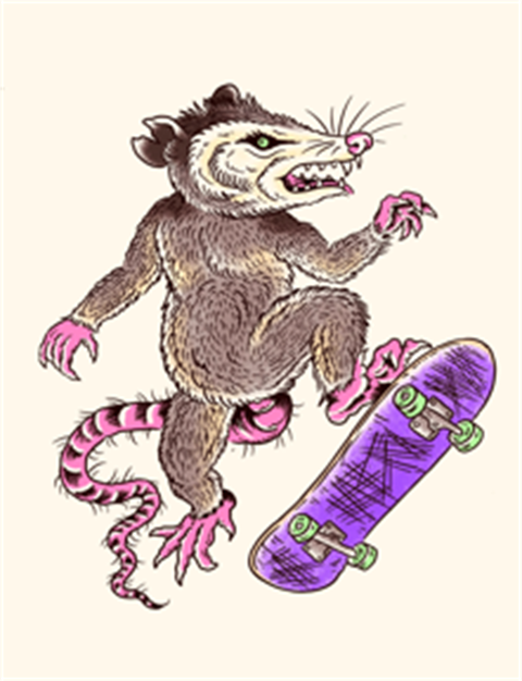 Possum Creek logo.png