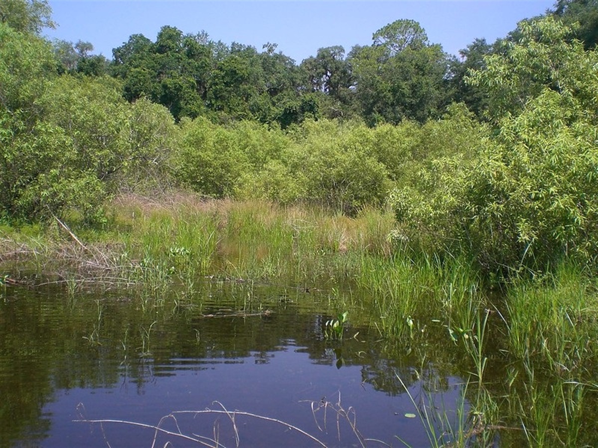 Terwilliger Pond Conservation Area to the City of Gainesville