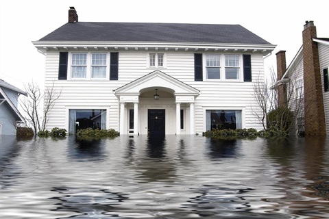 Flooded House image