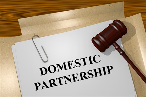 Domestic Partnership document and a gavel 