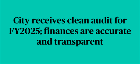FY2025-clean-audit.png