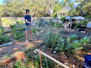 Gardeners tend to their plots at McRorie Community Garden.
