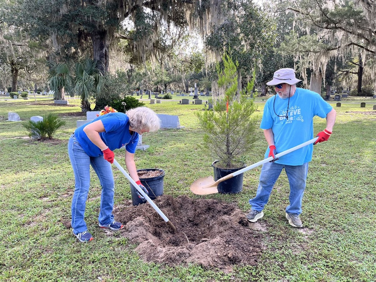 Gainesville tree canopy expands with the help of volunteers Welcome to ...