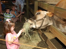 Barnyard Buddies girl with pony