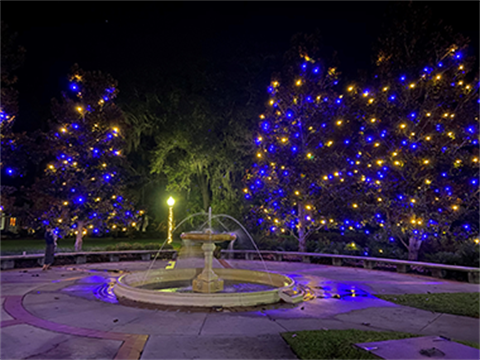 Thomas Center gardens with lights, photo by Don Niemann