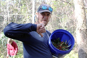 Image of volunteer giving a thumbs down to the invasive coral ardisia
