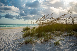 Image of the beach with ocean and grass