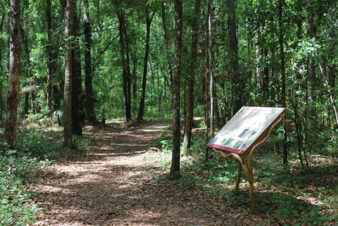 Hogtown Creek Headwaters NP nature trail