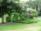 SW 40th Place Garden scenery