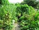 SW 40th Place and SW 30th Terrace Community Garden