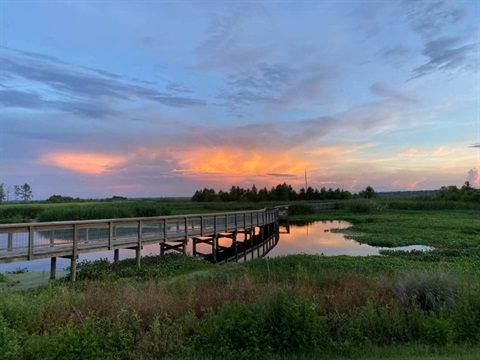 Sweetwater-Wetlands-Park.jpg