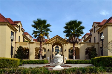 Turtle Court at the Thomas Center