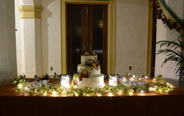 Wedding cake with fairy lights