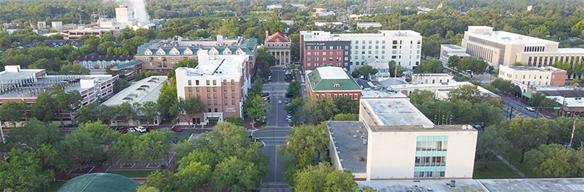 Downtown Gainesville from above