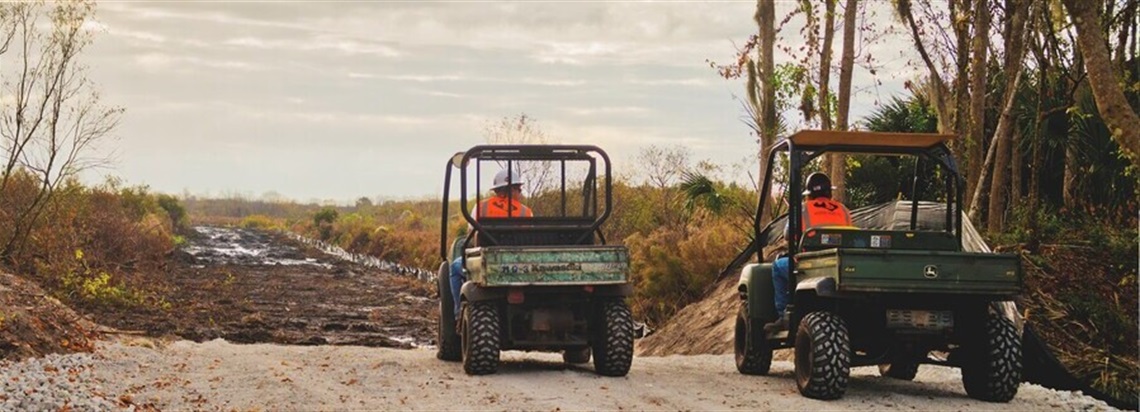 golf carts into the sunset (1) (1) (1).jpg