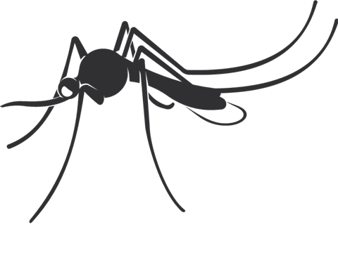 mosquito.png