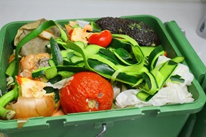 food scraps in green bin