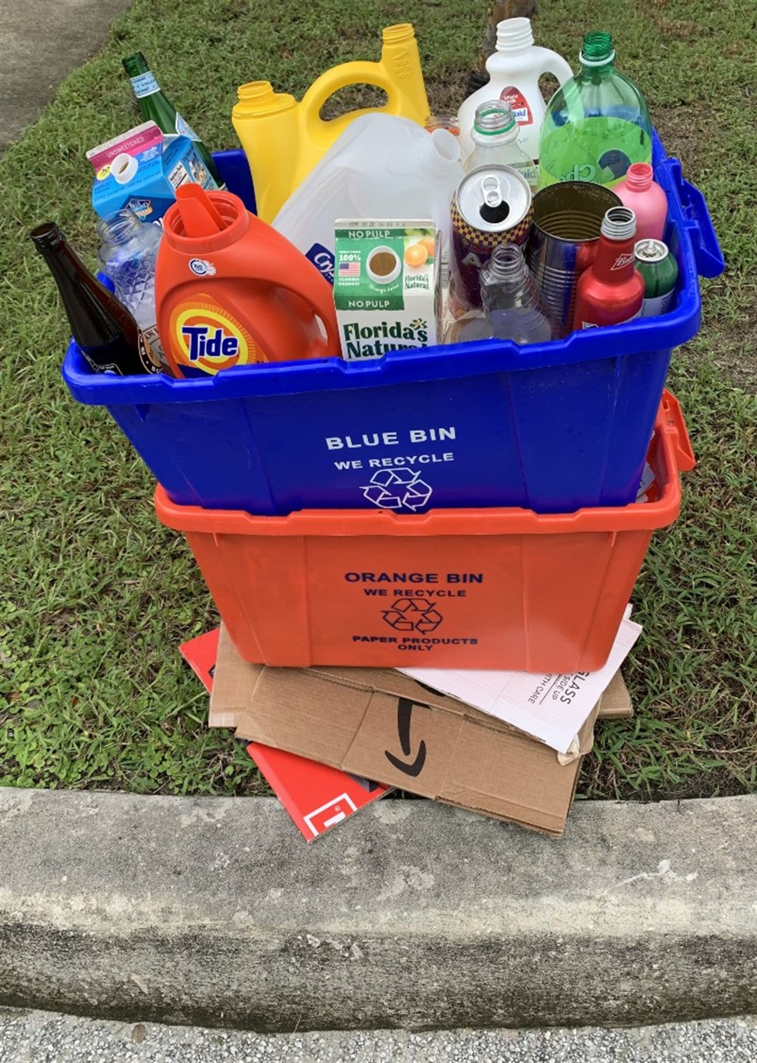 Clear and Blue Recycling Bags