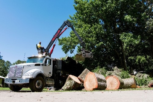 claw truck removing tree debris