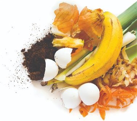 banana peel, egg shells, coffee grounds and other food waste