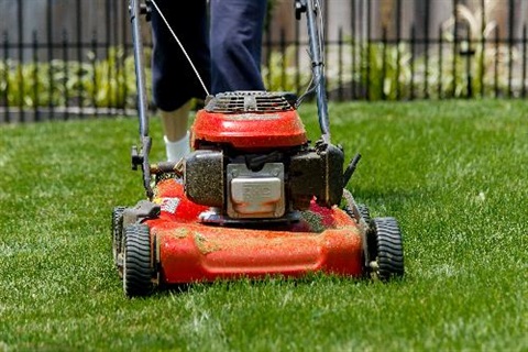 person mower a very green grass lawn