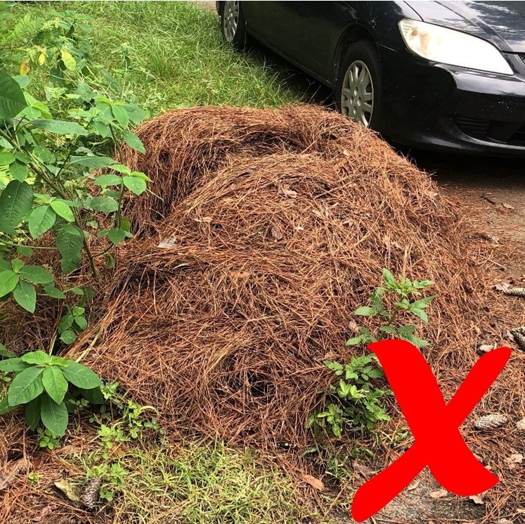 Example of yard waste not containerized