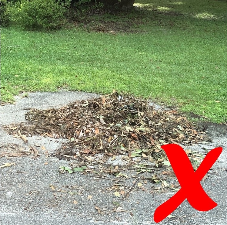 Example of yard waste not containerized