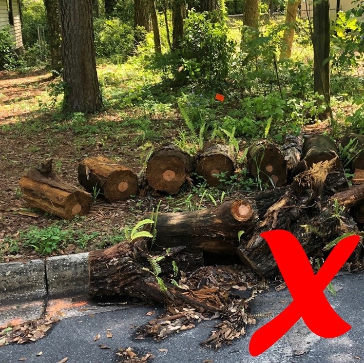 Example of yard waste that is oversized
