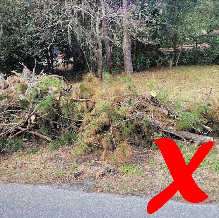 Example of yard waste that is oversized