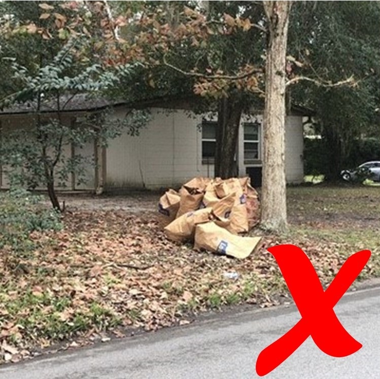 Example of yard waste set back too far from the curb
