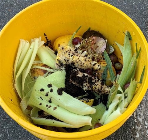 food waste inside the yellow bucket viewed from an open top