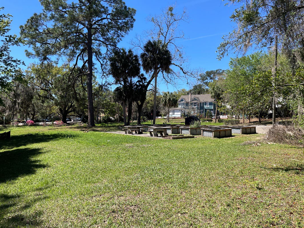 Image of Sweetwater Branch Creek with vegetation. 
