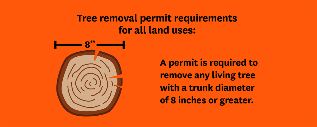 Tree Removal Permits All Land Uses Welcome to the City of Gainesville