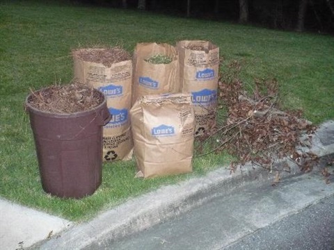 yard waste set out in container, paper bags and sticks in a pile