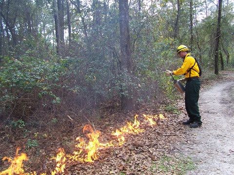 PrescribedBurn