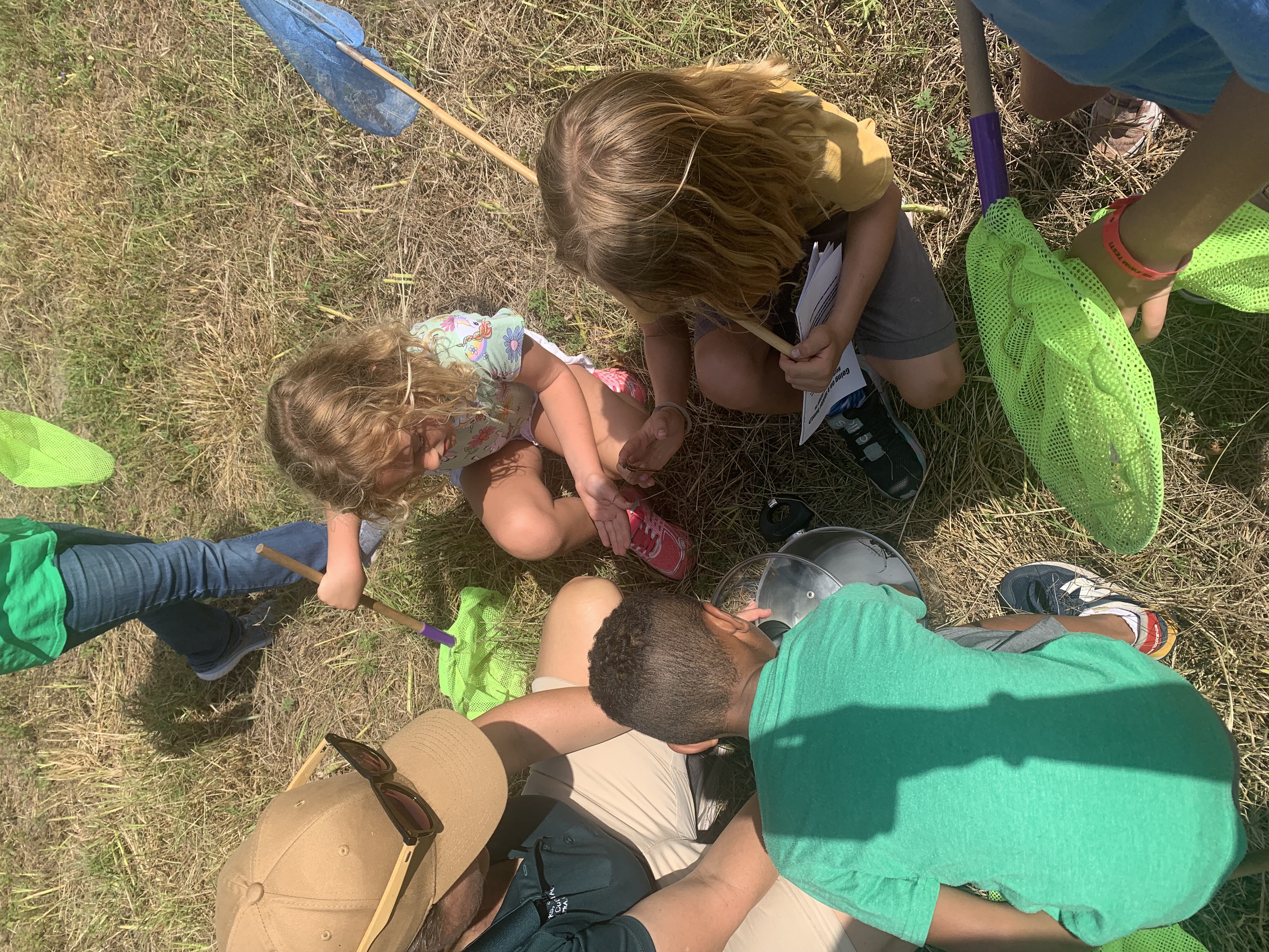 Kids and educator looking at insects
